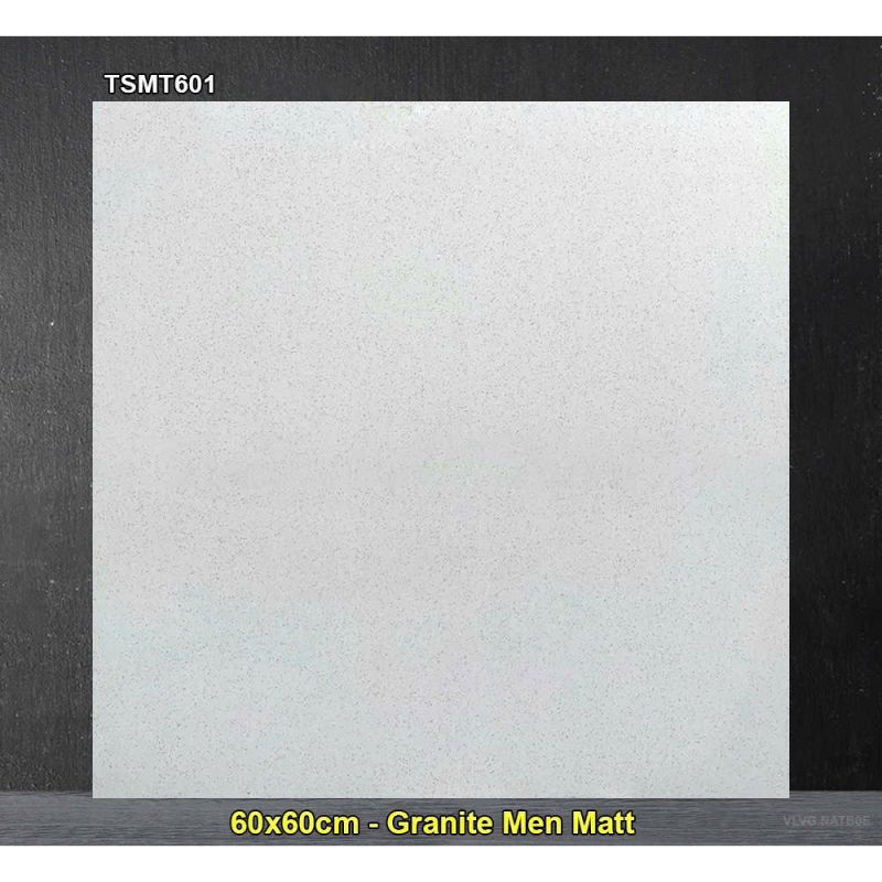 Gạch 60x60 xương granite muối tiêu Viglacera TSMT601