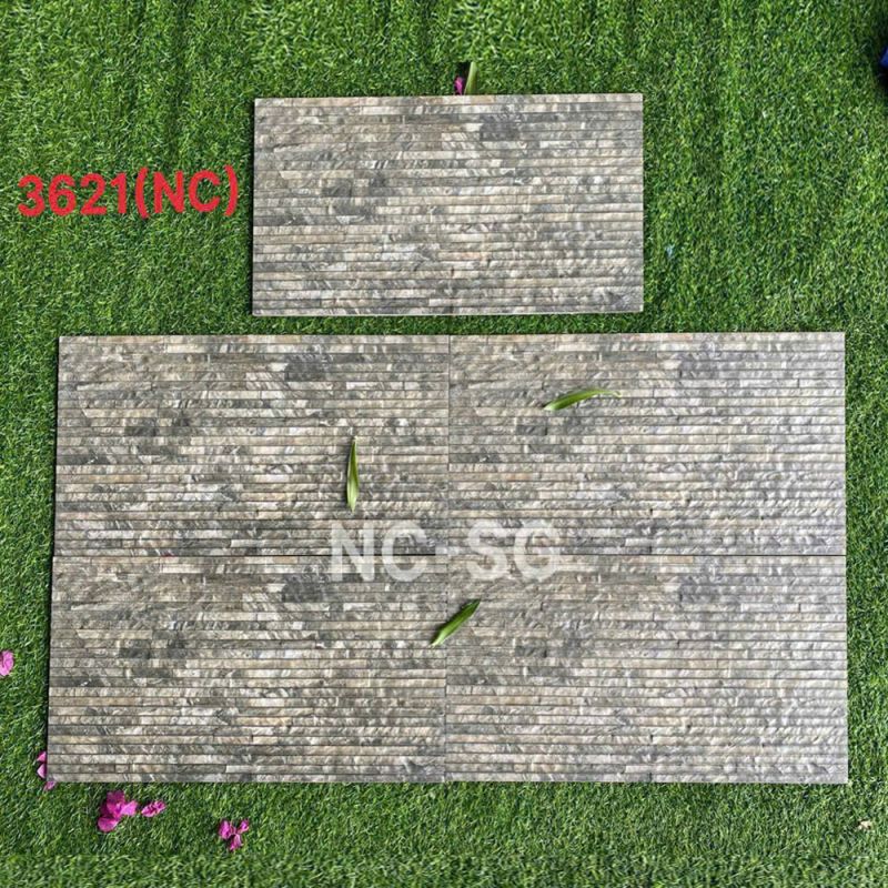 Gạch ốp tường Viglacera kích thước 30x60 3621-NC