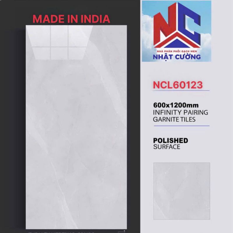 Gạch ốp tường Ấn độ 60x120 NCL60123