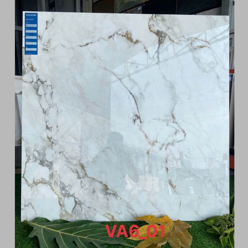 Gạch lát nền Vigalcera 100x100 VA6-01