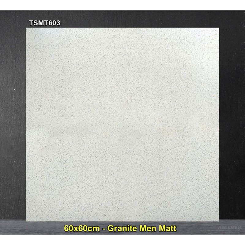 Gạch 60x60 xương granite muối tiêu Viglacera TSMT603
