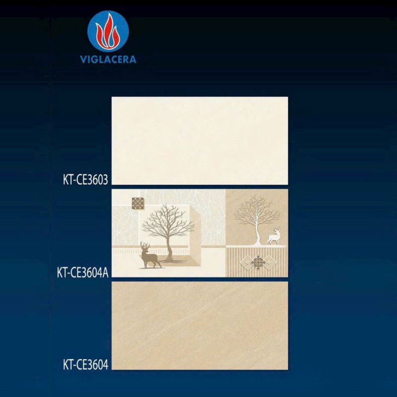 Gạch ốp tường Viglacera kích thước 30x60 KT-CE3603-KT-CE3604A-KT-CE3604