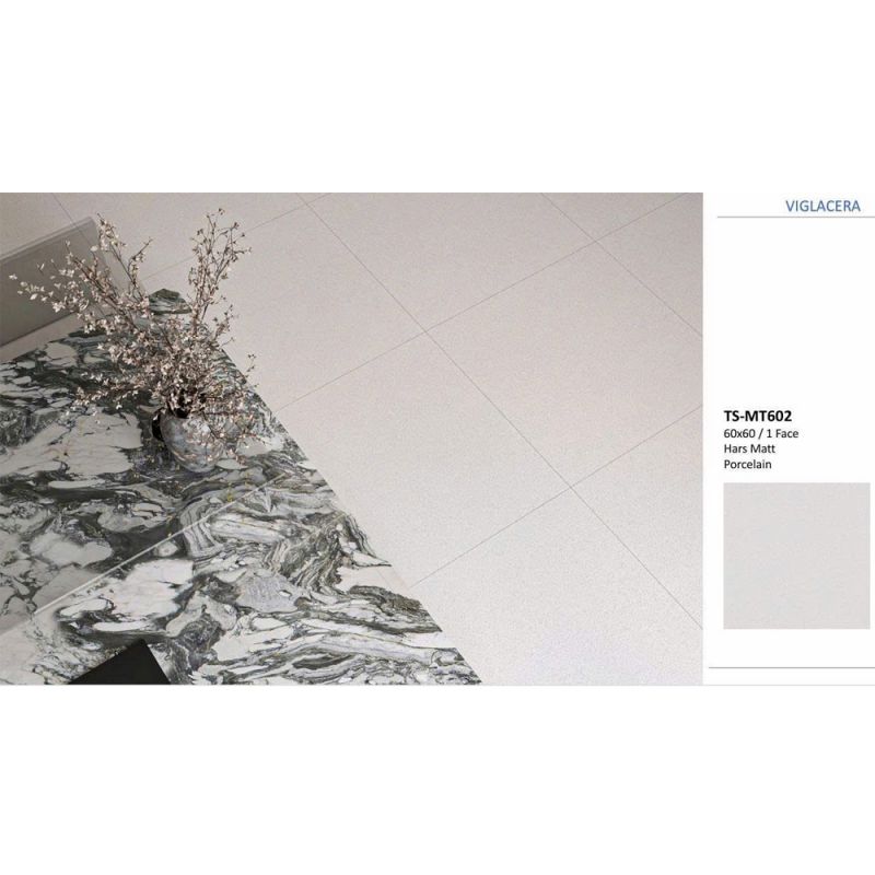 Gạch 60x60 xương granite muối tiêu Viglacera TSMT602