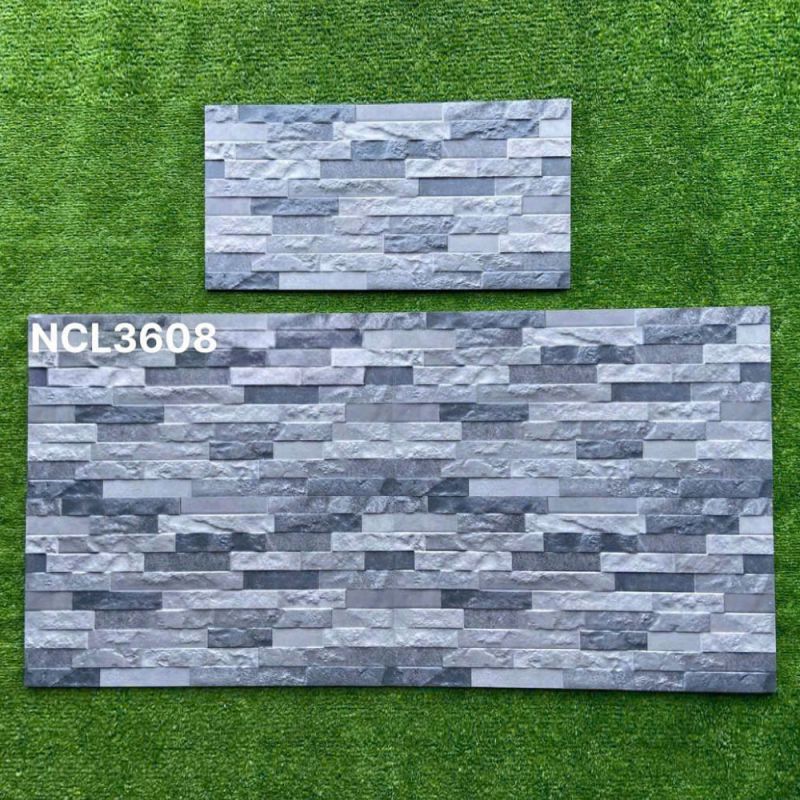 Gạch ốp tường Ấn độ kích thước 30x60 NCL3608